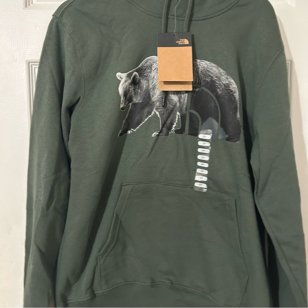 THE NORTH FACE TNF Bear Pullover Hoodie - Men's Thyme/TNF Black, S New - Picture 1 of 7
